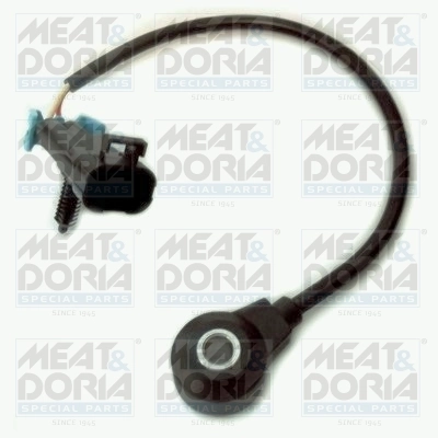 Knock Sensor